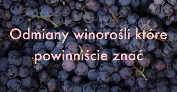 Odmiany winorośli które powinniście znać