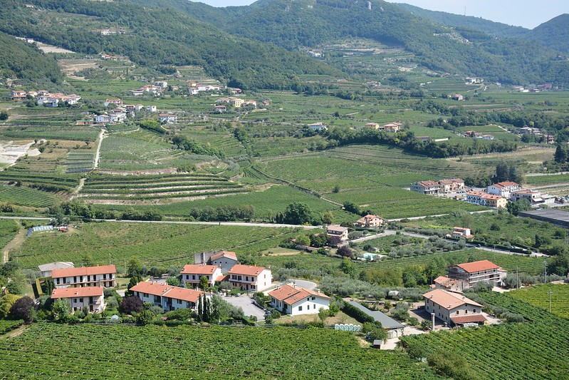 Winnice w Valpolicelli