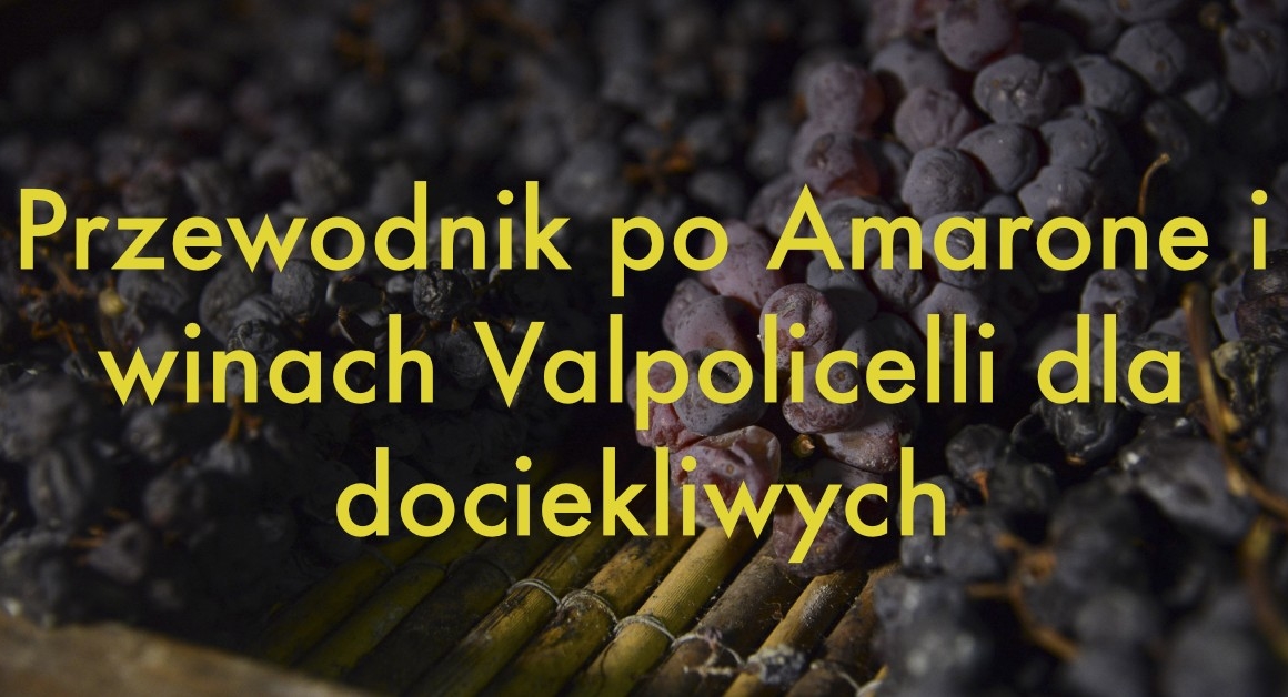 Przewodnik po Amarone i winach Valpolicelli dla dociekliwych