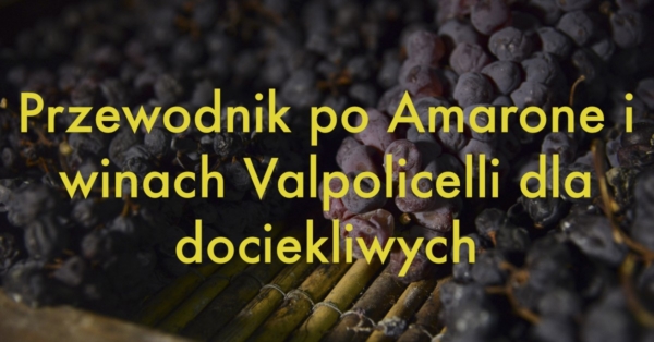 Przewodnik po Amarone i winach Valpolicelli dla dociekliwych