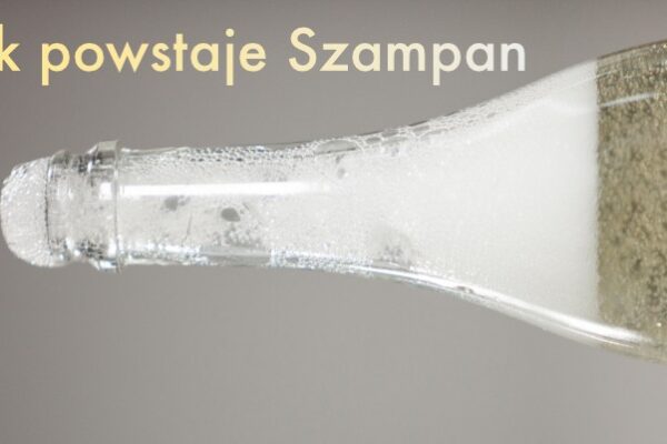 Jak powstaje Szampan
