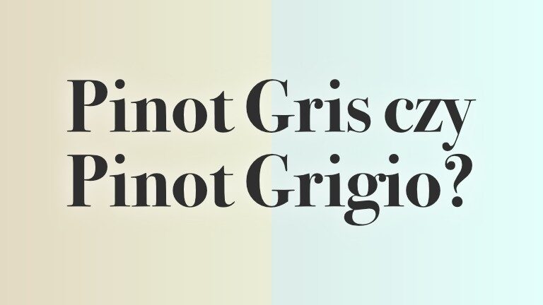 gris - header