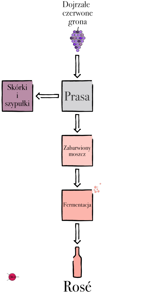 schemat tworzenia wina różowego przez bezpośrednie wyciskanie
