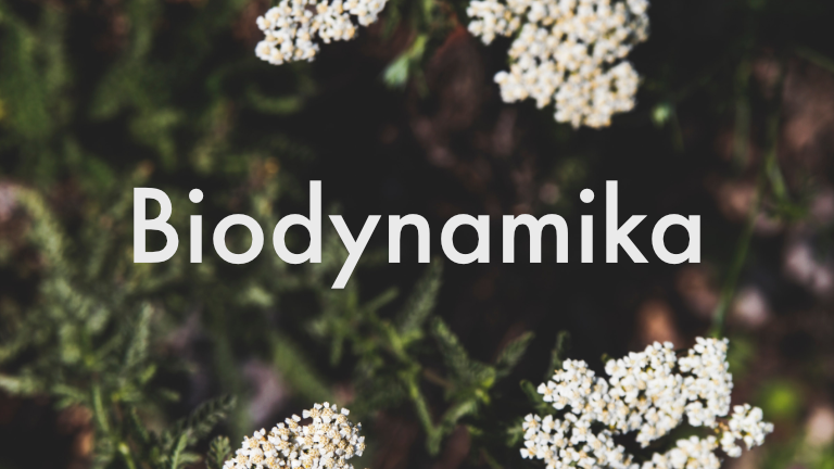 Biodynamika